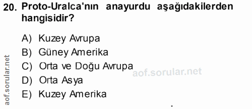 20. soru: Proto-Uraca'nın anayurdu aşağıdakilerden hangisidir? A) Kuzey Avrupa B) Güney Amerika C) Orta ve Doğu Avrupa D) Orta…