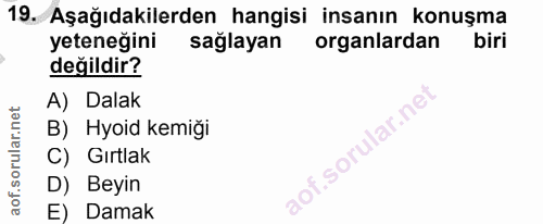 19. soru: Aşağıdakilerden hangisi insanın konuşma yeteneğini sağlayan organlardan biri değildir? A) Dalak B) Hyoid kemiği C) Gı…