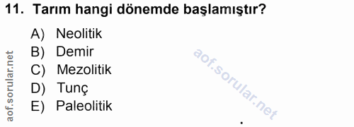 11. soru: Tarım hangi dönemde başlamıştır? A) Neolitik B) Demir C) Mezolitik D) Tunç E) Paleolitik
