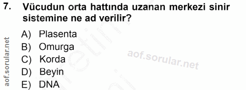 7. soru: Vücudun orta hattında uzanan merkezi sinir sistemine ne ad verilir? A) Plasenta B) Omurga C) Korda Beyin E) DNA
