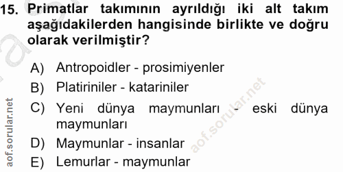 15. soru: Primatlar takımının ayrıldığı iki alt takım aşağıdakilerden hangisinde birlikte ve doğru olarak verilmiştir? A) Antro…