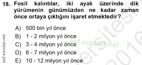 18. soru: Fosil kalıntılar, iki ayak üzerinde dik yürümenin günümüzden ne kadar zaman önce ortaya çıktığını işaret etmektedir?…