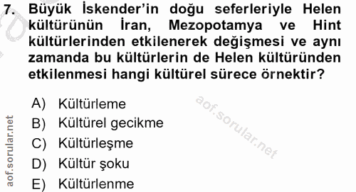 7. soru: Büyük İskender'in doğu seferleriyle Helen kültürünün İran, Mezopotamya ve Hint kültürlerinden etkilenerek değişmesi v…