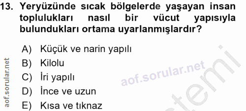 13. soru: Yeryüzünde sıcak bölgelerde yaşayan insan toplulukları nasıl bir vücut yapısıyla bulundukları ortama uyarlanmışlardır…