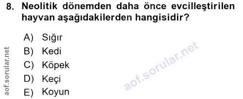 8. soru: Neolitik dönemden daha önce evcilleștirilen hayvan aşağıdakilerden hangisidir? A) Sığır B) Kedi C) Köpek D) Keçi E) K…
