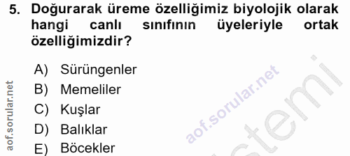 5. soru: Doğurarak üreme özelliğimiz biyolojik olarak hangi canlı sınıfının üyeleriyle ortak özelliğimizdir? A) Sürüngenler B)…