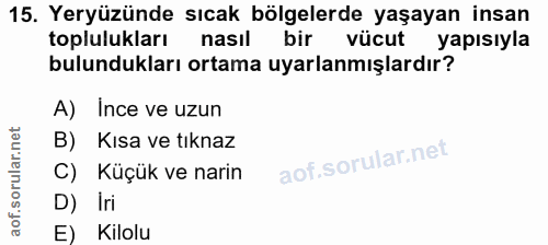 15. soru: Yeryüzünde sıcak bölgelerde yaşayan insan toplulukları nasıl bir vücut yapısıyla bulundukları ortama uyarlanmışlardır…