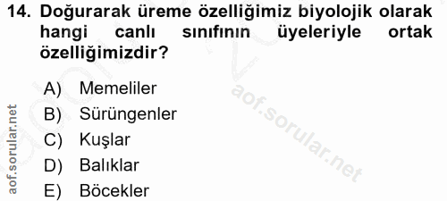 14. soru: Doğurarak üreme özelliğimiz biyolojik olarak hangi canlı sınıfının üyeleriyle ortak özelliğimizdir? A) Memeliler B) S…