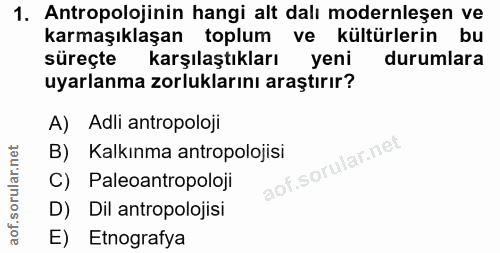1. soru: Antropolojinin hangi alt dalı modernleşen ve karmaşıklaşan toplum ve kültürlerin bu süreçte karşılaştıkları yeni duru…