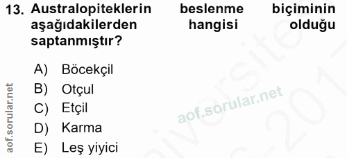 13. soru: Australopiteklerin beslenme biçiminin aşağıdakilerden hangisi olduğu saptanmıştır? A) Böcekçil B) Otçul C) Etçil D) K…