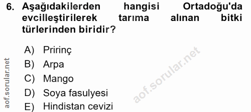 6. soru: Aşağıdakilerden hangisi Ortadoğu'da evcilleştirilerek tarıma alınan bitki türlerinden biridir? A) Pririnç B) Агра C)…