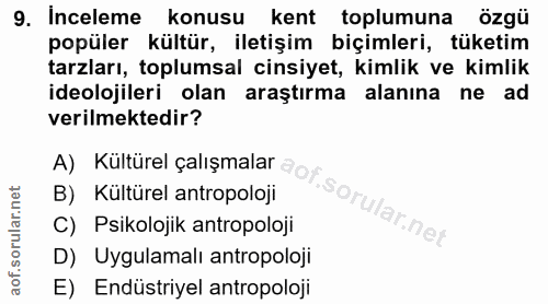 9. soru: Inceleme konusu kent toplumuna özgü popüler kültür, iletişim biçimleri, tüketim tarzları, toplumsal cinsiyet, kimlik…