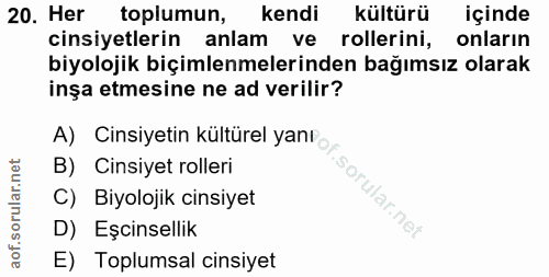 20. soru: Her toplumun, kendi kültürü içinde cinsiyetlerin anlam ve rollerini, onların biyolojik biçimlenmelerinden bağımsız ol…