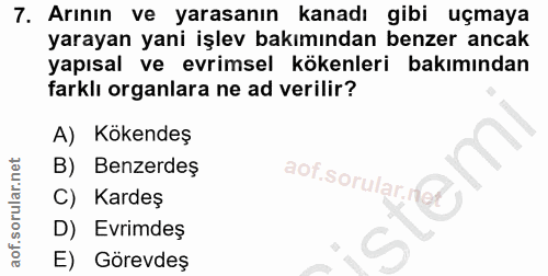 7. soru: Arının ve yarasanın kanadı gibi uçmaya yarayan yani işlev bakımından benzer ancak yapısal ve evrimsel kökenleri bakım…