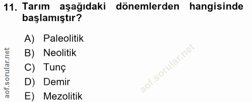 11. soru: Tarım aşağıdaki dönemlerden hangisinde başlamıştır? A) Paleolitik B) Neolitik C) Tunç D) Demir E) Mezolitik