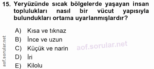 15. soru: Yeryüzünde sıcak bölgelerde yaşayan insan toplulukları nasıl bir vücut yapısıyla bulundukları ortama uyarlanmışlardır…