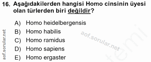 16. soru: Aşağıdakilerden hangisi Homo cinsinin üyesi olan türlerden biri değildir? A) Homo heidelbergensis B) Homo habilis C)…