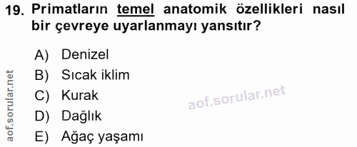 19. soru: Primatların temel anatomik özellikleri nasıl bir çevreye uyarlanmayı yansıtır? A) Denizel B) Sıcak iklim C) Kurak D)…