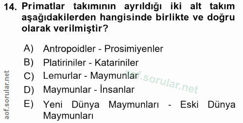 14. soru: Primatlar takımının ayrıldığı iki alt takım aşağıdakilerden hangisinde birlikte ve doğru olarak verilmiştir? A) Antro…
