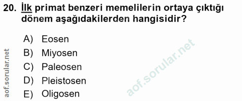 20. soru: Ilk primat benzeri memelilerin ortaya çıktığı dönem aşağıdakilerden hangisidir? A) Eosen B) Miyosen C) Paleosen D) Pl…
