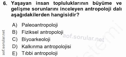 6. soru: Yaşayan insan topluluklarının büyüme ve gelişme sorunlarını inceleyen antropoloji dalı aşağıdakilerden hangisidir? A)…