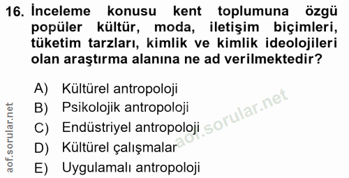 16. soru: Inceleme konusu kent toplumuna özgü popüler kültür, moda, iletişim biçimleri, tüketim tarzları, kimlik ve kimlik ideo…