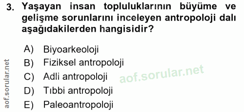 3. soru: Yaşayan insan topluluklarının büyüme ve gelişme sorunlarını inceleyen antropoloji dalı aşağıdakilerden hangisidir? A)…