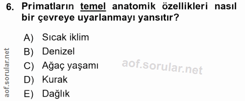 6. soru: Primatların temel anatomik özellikleri nasıl bir çevreye uyarlanmayı yansıtır? A) Sıcak iklim B) Denizel C) Ağaç yaşa…