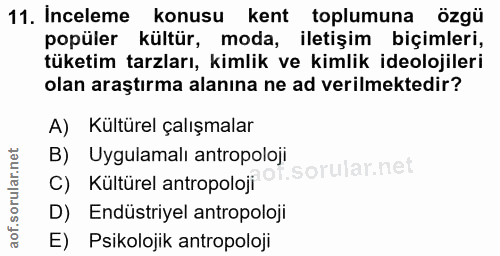 11. soru: Inceleme konusu kent toplumuna ozgü popüler kültür, moda, iletişim biçimleri, tüketim tarzları, kimlik ve kimlik ideo…
