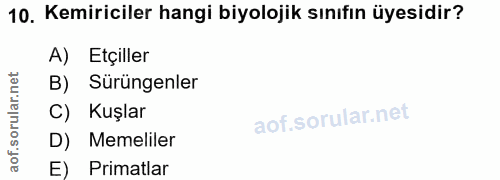 10. soru: Kemiriciler hangi biyolojik sınıfın üyesidir? A) Etçiller B) Sürüngenler C) Kuşlar D) Memeliler E) Primatlar