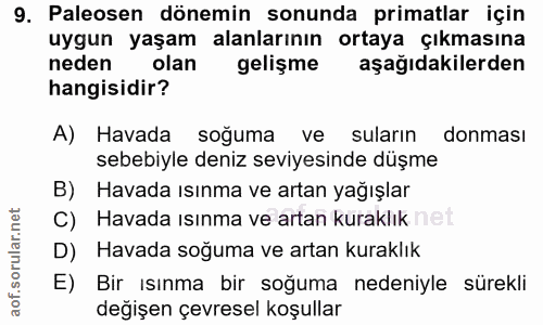 9. soru: Paleosen dönemin sonunda primatlar için uygun yaşam alanlarının ortaya çıkmasına neden olan gelişme aşağıdakilerden h…