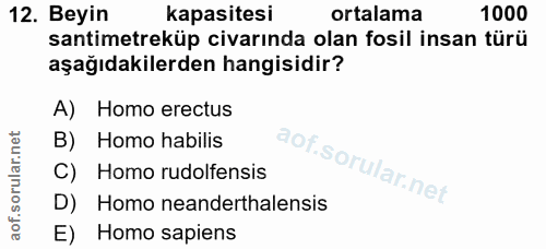 12. soru: Beyin kapasitesi ortalama 1000 santimetreküp civarında olan fosil insan türü aşağıdakilerden hangisidir? A) Homo erec…