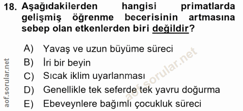 18. soru: Aşağıdakilerden hangisi primatlarda gelişmiş öğrenme becerisinin artmasına sebep olan etkenlerden biri değildir? A) Y…