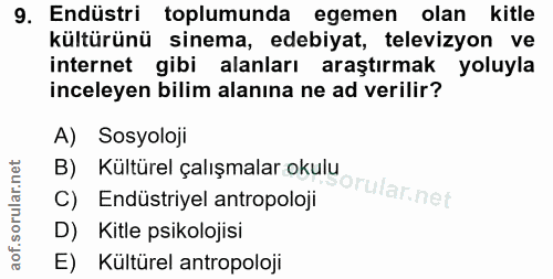 9. soru: Endüstri toplumunda egemen olan kitle kültürünü sinema, edebiyat, televizyon ve internet gibi alanları araştırmak yol…
