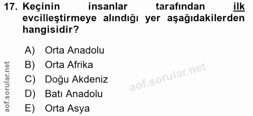 17. soru: Keçinin insanlar tarafindan ilk evcilleştirmeye alındığı yer aşağıdakilerden hangisidir? A) Orta Anadolu B) Orta Afri…