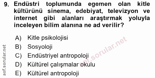 9. soru: Endüstri toplumunda egemen olan kitle kültürünü sinema, edebiyat, televizyon ve internet gibi alanları araştırmak yol…
