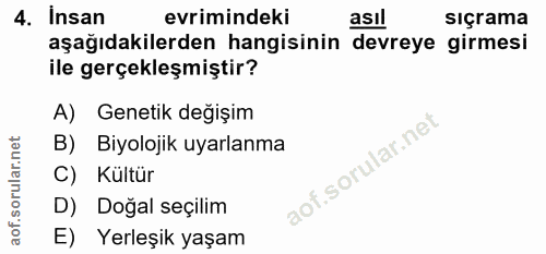 4. soru: Insan evrimindeki asıl sıçrama aşağıdakilerden hangisinin devreye girmesi ile gerçekleşmiştir? A) Genetik değişim B)…