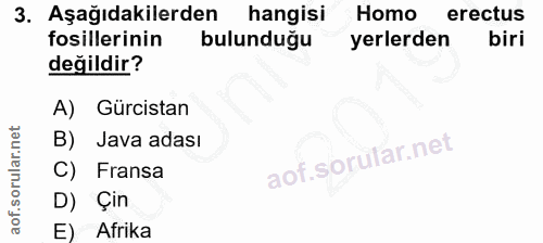 3. soru: Aşağıdakilerden hangisi Homo erectus fosillerinin bulunduğu yerlerden biri değildir? A) Gürcistan B) Java adası C) Fr…