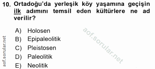 10. soru: Ortadoğu'da yerleşik köy yaşamına geçişin ilk adımını temsil eden kültürlere ne ad verilir? A) Holosen B) Epipaleolit…