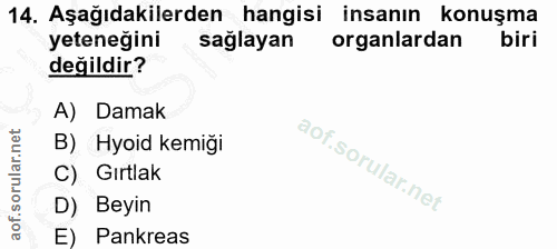 14. soru: Aşağıdakilerden hangisi insanın konuşma yeteneğini sağlayan organlardan biri değildir? A) Damak B) Hyoid kemiği C) Gı…
