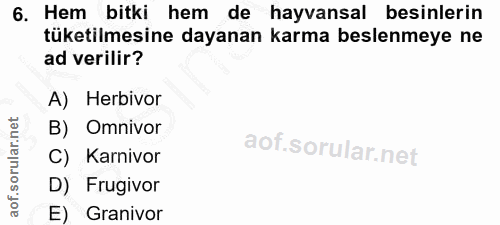 6. soru: Hem bitki hem de hayvansal besinlerin tüketilmesine dayanan karma beslenmeye ne ad verilir? A) Herbivor B) Omnivor C)…