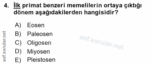 4. soru: İlk primat benzeri memelilerin ortaya çıktığı dönem aşağıdakilerden hangisidir? A) Eosen orular.net B) Paleosen Oligo…