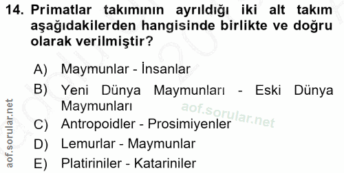 14. soru: Primatlar takımının ayrıldığı iki alt takım aşağıdakilerden hangisinde birlikte ve doğru olarak verilmiştir? A) Maymu…