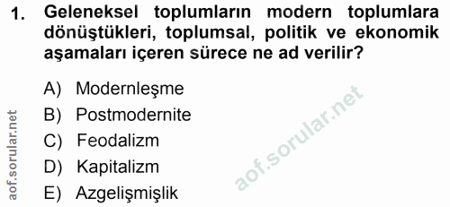 1. soru: Geleneksel toplumların modern toplumlara dönüştükleri, toplumsal, politik ve ekonomik aşamaları içeren sürece ne ad v…