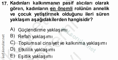17. soru: Kadınları kalkınmanın pasif alıcıları olarak gören, kadınların en önemli rolünün annelik ve çocuk yetiştirmek olduğun…