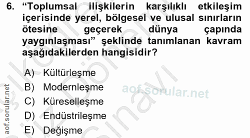 6. soru: "Toplumsal ilişkilerin karşılıklı etkileşim içerisinde yerel, bölgesel ve ulusal sınırların ötesine geçerek dünya çap…