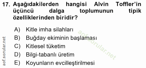 17. soru: Aşağıdakilerden hangisi Aivin Toffler'in üçüncü dalga toplumunun tipik özelliklerinden biridir? A) Kitle imha silahla…