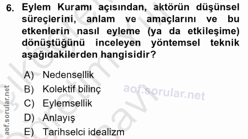 6. soru: Eylem Kuramı açısından, aktörün düşünsel süreçlerini, anlam ve amaçlarını ve bu etkenlerin nasıl eyleme (ya da etkile…