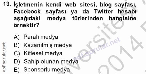 13. soru: İşletmenin kendi web sitesi, blog sayfası, Facebook sayfası ya da Twitter hesabı aşağıdaki medya türlerinden hangisin…