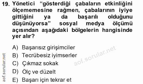 19. soru: Yönetici "gösterdiği çabaların etkinliğini ölçememesine rağmen, çabalarının iyiye gittiğini ya da başarılı olduğunu d…